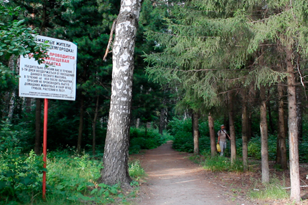 «Вы будете спокойно наблюдать за клещами и радоваться» (видео)