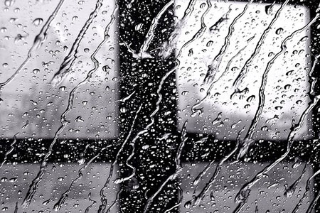 Новосибирцев предупредили о грозах и шквалистом ветре 