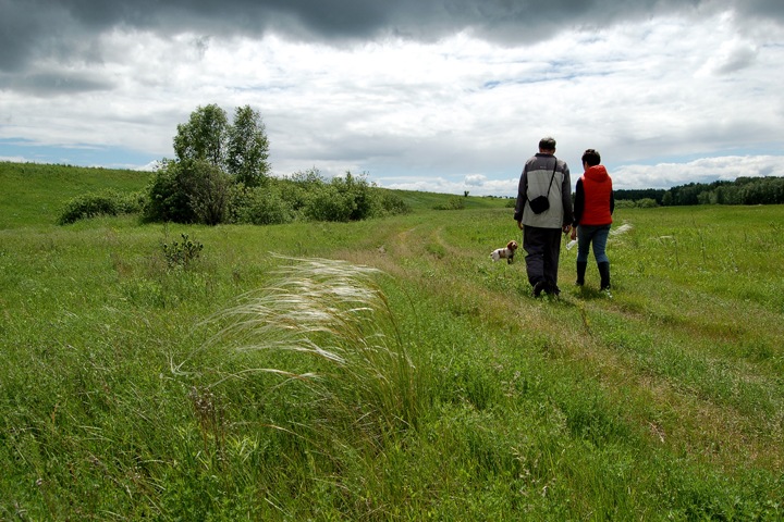 Требуйте невозможного. Зачем Новосибирской области заповедники Требуйте невозможного. Зачем Новосибирской области заповедники