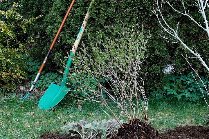 Житель Бурятии забил приятеля сестры жердью и дважды похоронил Житель Бурятии забил приятеля сестры жердью и дважды похоронил