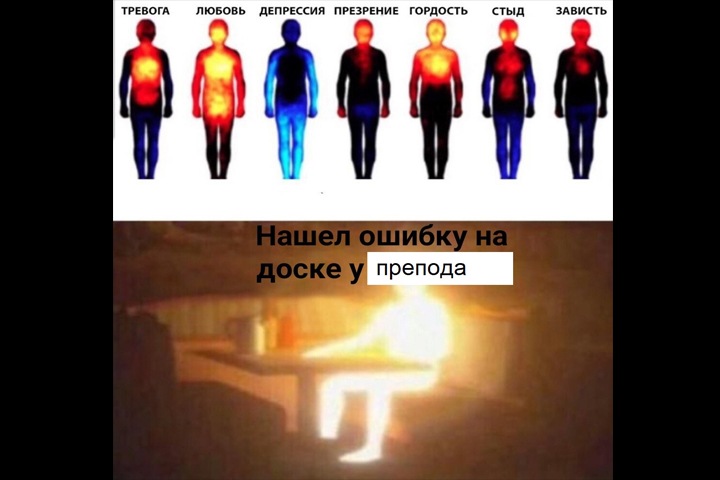 Руководство физфака НГУ пригрозило отчислить студентов за мемы с преподавателями