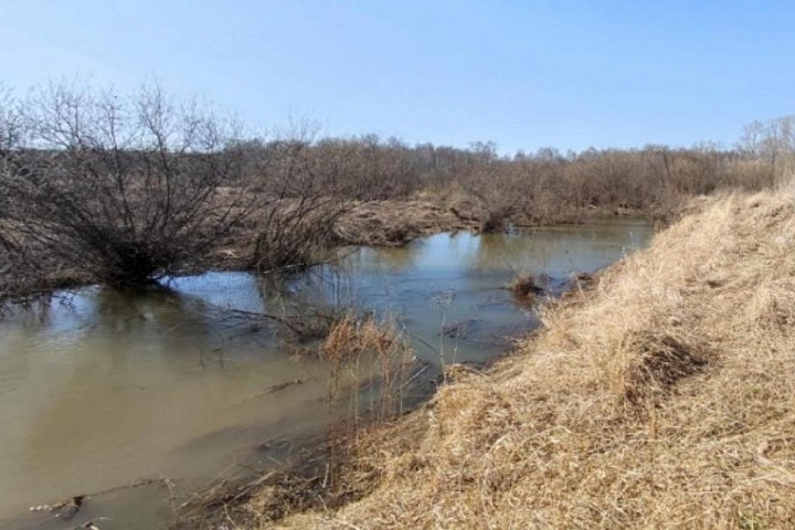 Тело утонувшей школьницы нашли в новосибирской реке Тело утонувшей школьницы нашли в новосибирской реке