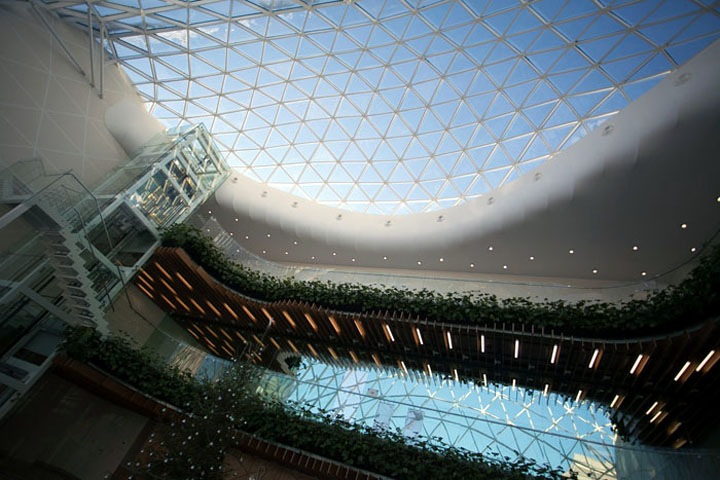 Нарушения на десятки миллионов нашли в новосибирском биотехнопарке