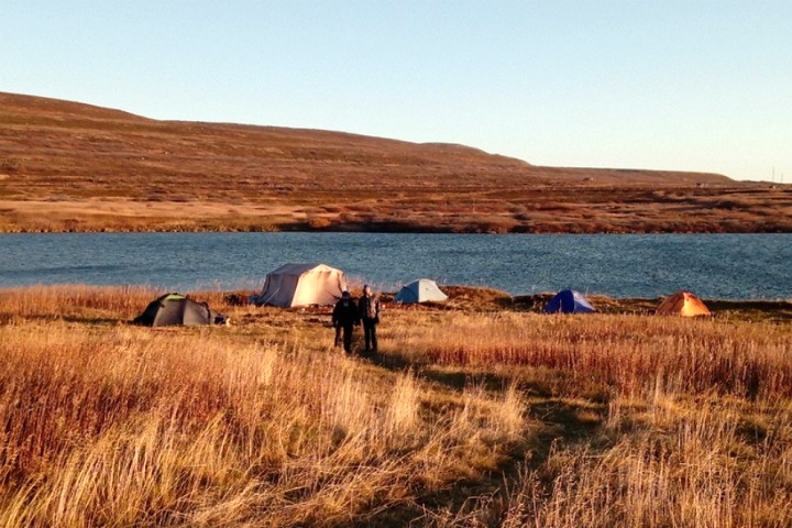 Биоразнообразие морского озера в Арктике сократилось вдвое за 100 лет. Виновато изменение климата