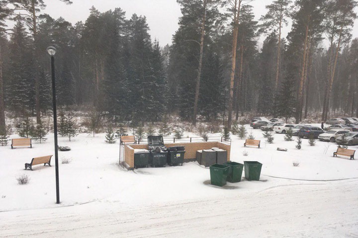 Скамейки вокруг помойки расставили в новосибирском госуниверситете. Фотофакт Скамейки вокруг помойки расставили в новосибирском госуниверситете. Фотофакт
