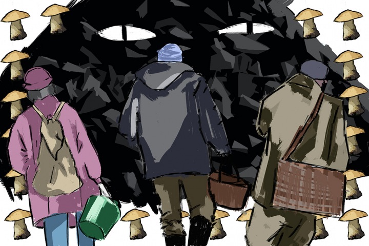 Дело замов Тулеева: «Разрез Инской» нес опасность грибникам и лесникам