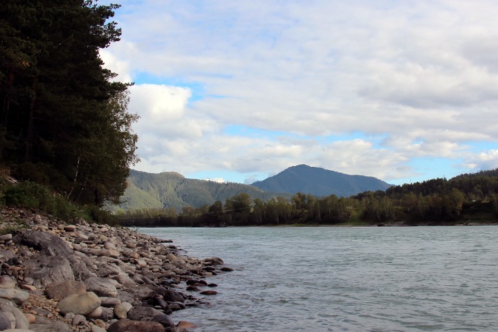 Сибирские ученые придумали, как определить возраст гор по пыльце растений Сибирские ученые придумали, как определить возраст гор по пыльце растений