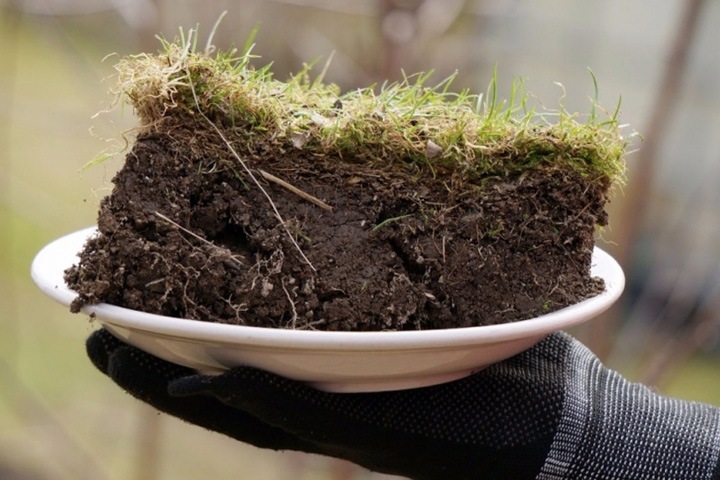 Томская прокуратура вернула государству выданные за взятку участки