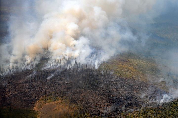Площадь лесных пожаров резко выросла в Сибири Площадь лесных пожаров резко выросла в Сибири