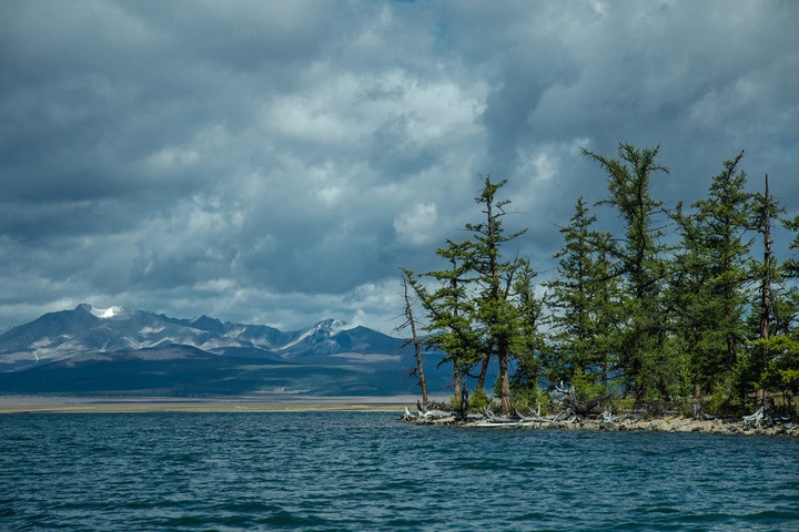 Экологи приняли декларацию о «Зеленом Шелковом пути» Экологи приняли декларацию о «Зеленом Шелковом пути»
