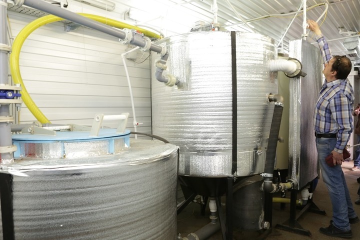 Томские ученые предлагают избавить город от неприятного запаха с помощью водорослей