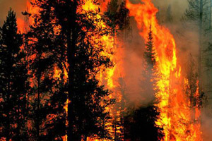 Тела семи погибших при пожаре десантников обнаружены в Туве