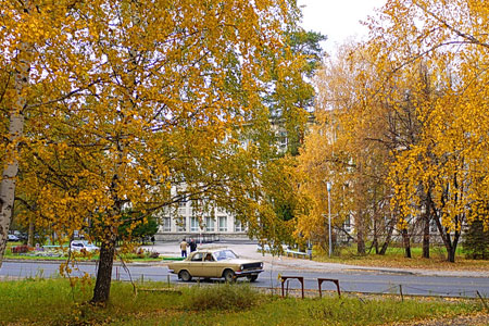 Размер матпомощи молодым родителям в НГУ увеличился до 50-75 тыс. рублей