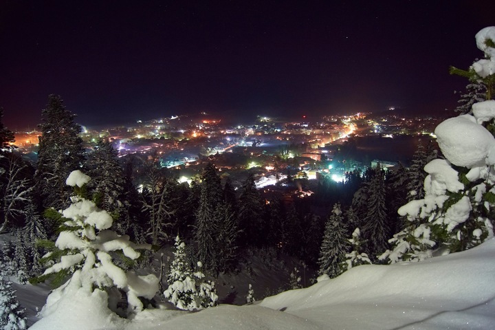 Директор Турочакского лесничества задержан на Алтае по делу о взятках за новогодние елки