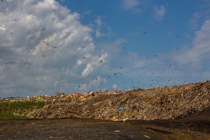 Мусорные перевозчики заявили о прекращении работы в Новосибирской области