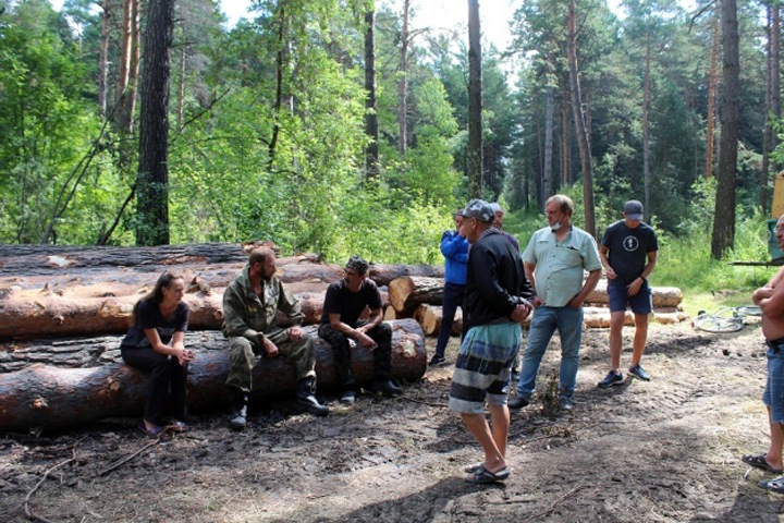 Искитимцы заблокировали рубки леса, которые ведет связанное с государством предприятие