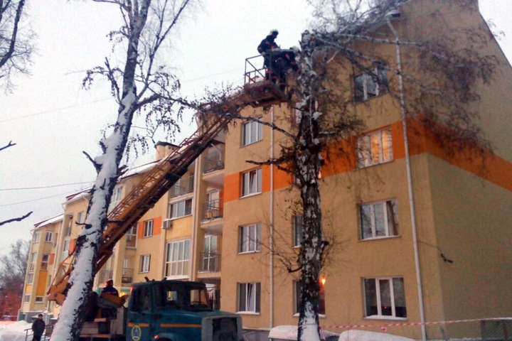 Дерево рухнуло на многоквартирный дом в Новосибирске Дерево рухнуло на многоквартирный дом в Новосибирске