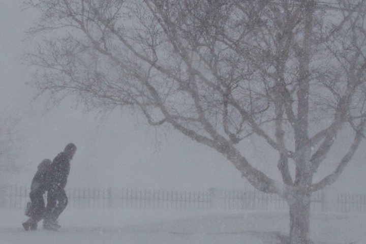 Снегопады будут идти в Западной Сибири еще несколько дней Снегопады будут идти в Западной Сибири еще несколько дней
