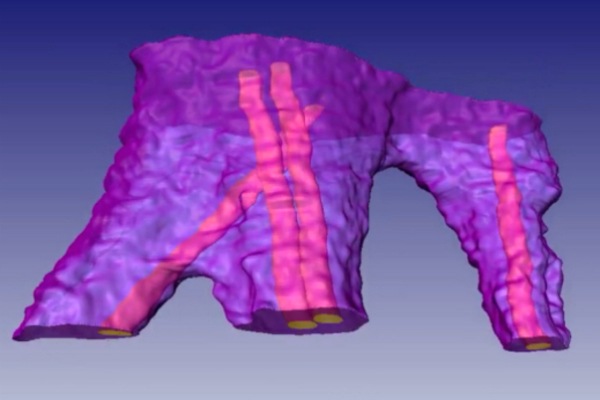 Журнал The Scientist назвал изображением дня работу российских ученых Журнал The Scientist назвал изображением дня работу российских ученых