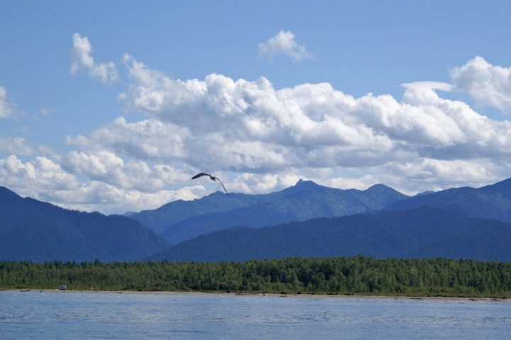 Водоохранную зону Байкала сократят в 10 раз