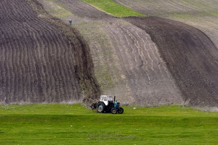 Новосибирские аграрии засеяли 30% от плановых показателей Новосибирские аграрии засеяли 30% от плановых показателей