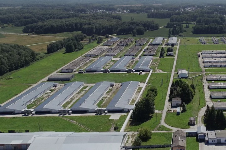 Связанная с депутатом новосибирского заксобрания птицефабрика загрязнила землю нитратами на 550 млн рублей Связанная с депутатом новосибирского заксобрания птицефабрика загрязнила землю нитратами на 550 млн рублей