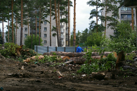«Всё, что построено незаконно, нужно снести»: новосибирцам предложили самим решать судьбу зеленых зон