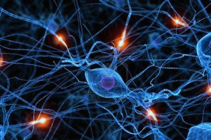 Томские студенты решили выращивать человеческие клетки для лечения аутизма