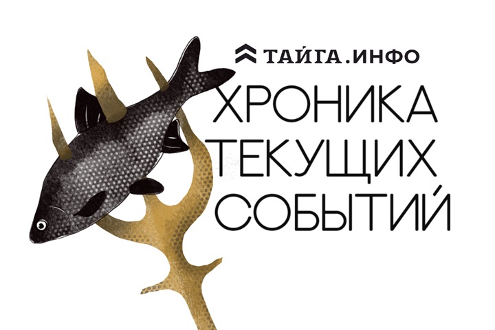 Хроника текущих событий. Экономика, общество, политика. Выпуск 228