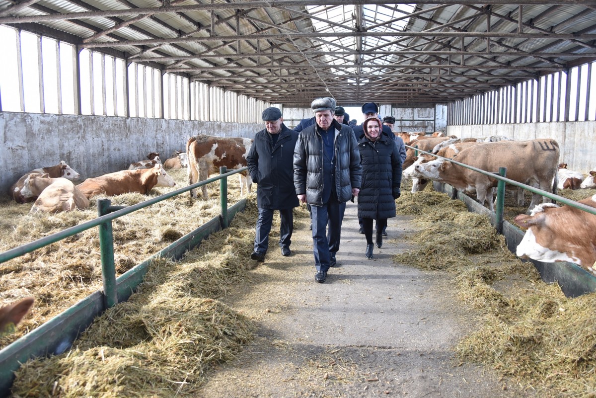 Господдержка новосибирских сельхозпредприятий обошлась в 1,7 млрд