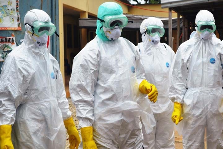 Директор новосибирского «Вектора» попросил перезвонить «в апреле-мае» по поводу тестов на коронавирус Директор новосибирского «Вектора» попросил перезвонить «в апреле-мае» по поводу тестов на коронавирус