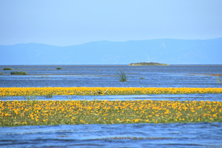 «С экологической точки зрения понятно, что лучше бы Селенгу не трогать» «С экологической точки зрения понятно, что лучше бы Селенгу не трогать»