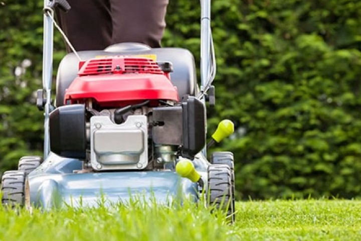 Виды и характеристика газонокосилок Виды и характеристика газонокосилок