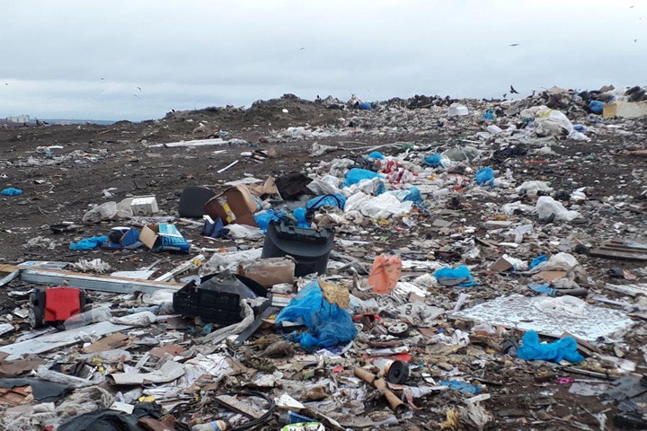 Депутаты попросили губернатора расторгнуть договор с «Экологией-Новосибирск»