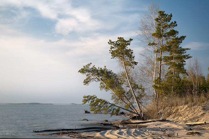 Содержание природного парка в Караканском бору обойдется в 19 млн рублей Содержание природного парка в Караканском бору обойдется в 19 млн рублей