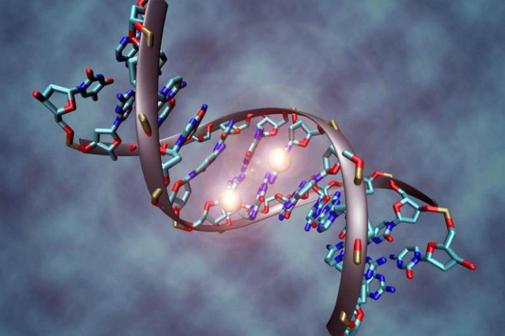 Склонность к атеросклерозу и осложнениям при энцефалите нашли у новосибирцев