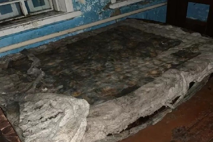 СК возбудил дело против новосибирских полицейских из-за проживания многодетной семьи в антисанитарных условиях СК возбудил дело против новосибирских полицейских из-за проживания многодетной семьи в антисанитарных условиях