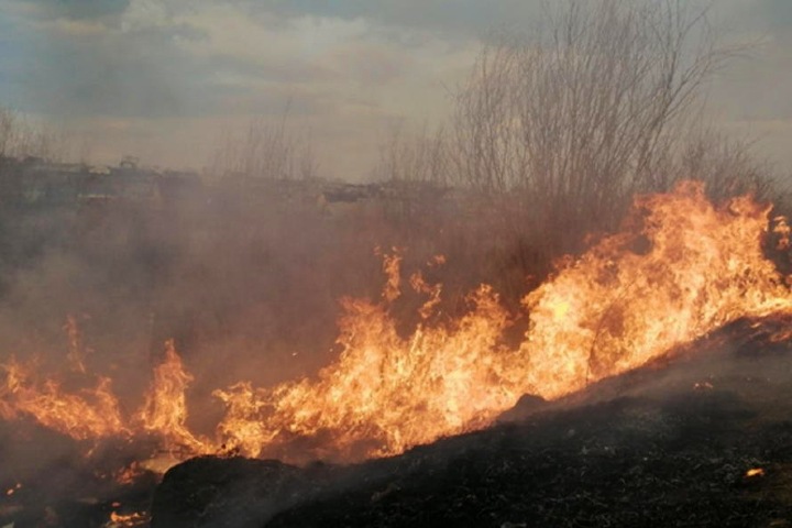 Читинцы сняли возможного поджигателя травы около жилья