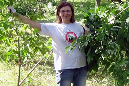 Новосибирский СК нашел признаки преступления в самодоносе активистки «Яблока» Новосибирский СК нашел признаки преступления в самодоносе активистки «Яблока»