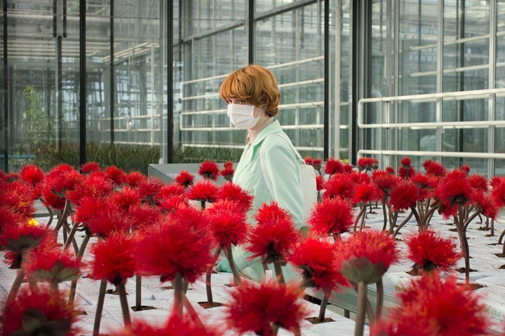 Игру центра и периферии покажут новосибирцам на фестивале австрийского кино Игру центра и периферии покажут новосибирцам на фестивале австрийского кино