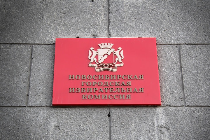 Глава новосибирского горизбиркома нарастила доходы