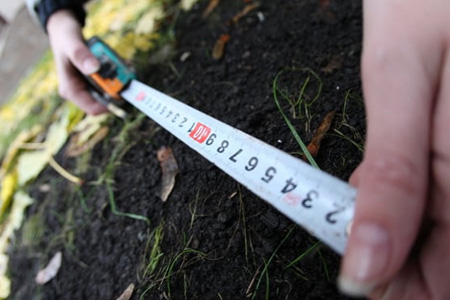 Экс-глава Станционного сельсовета подарила родственнице участок муниципальной земли Экс-глава Станционного сельсовета подарила родственнице участок муниципальной земли