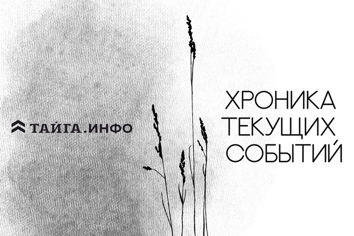 Хроника текущих событий. Экономика, общество, политика. Выпуск 205