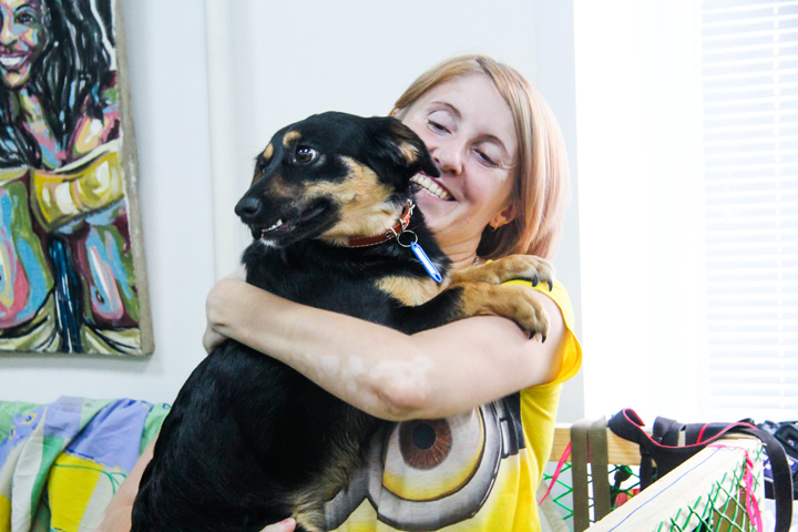 Почти 30 бездомных собак и кошек нашли хозяев после выставки «Варежка» Почти 30 бездомных собак и кошек нашли хозяев после выставки «Варежка»