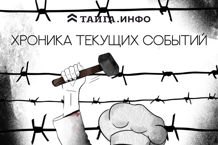 Хроника текущих событий. Экономика, общество, политика. Выпуск 255