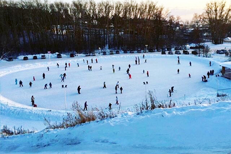 Мэрия пообещала сохранить каток в Заельцовском парке Новосибирска