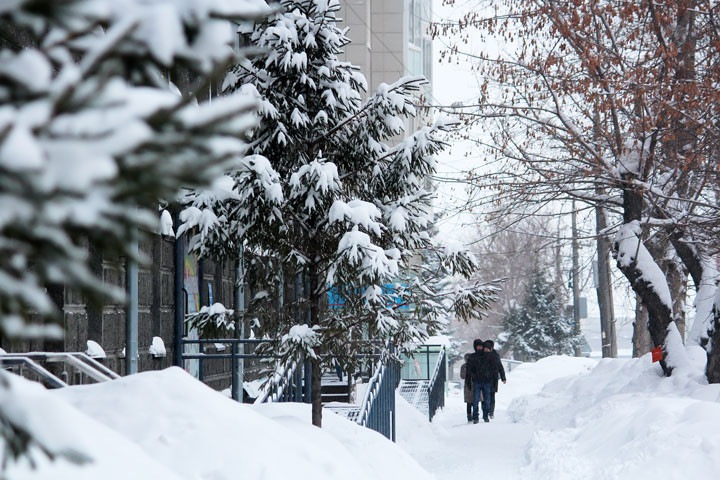 30-градусные морозы ожидают сибиряков в марте