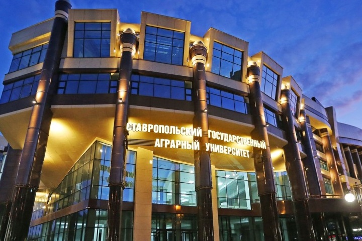 Архитектурное светодиодное освещение: разновидности, правила организации Архитектурное светодиодное освещение: разновидности, правила организации