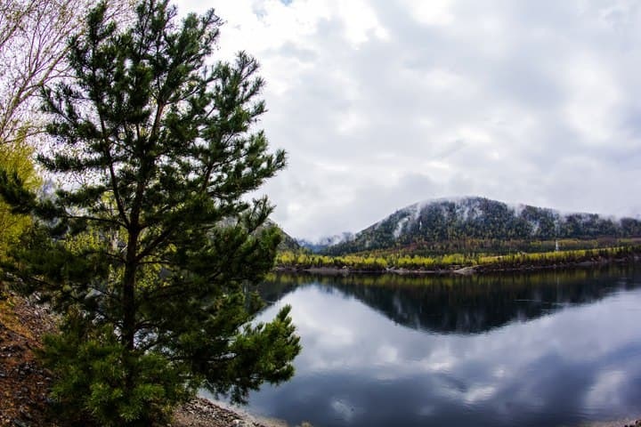 Школьницу нашли мертвой на берегу Енисея