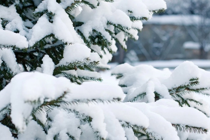 Похолодание ожидается в Новосибирской области Похолодание ожидается в Новосибирской области